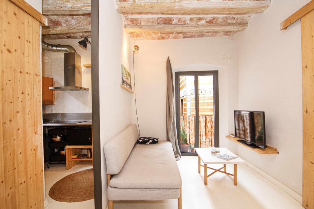 Apartamento Tr Auriga En El Barri Vell Жирона Экстерьер фото